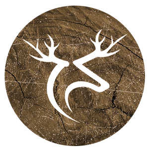 KINGSOFTHEFOREST