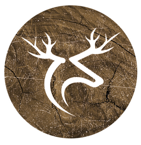 KINGSOFTHEFOREST