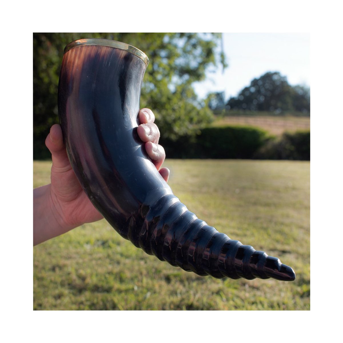 Kings Whorl Drinking Horn
